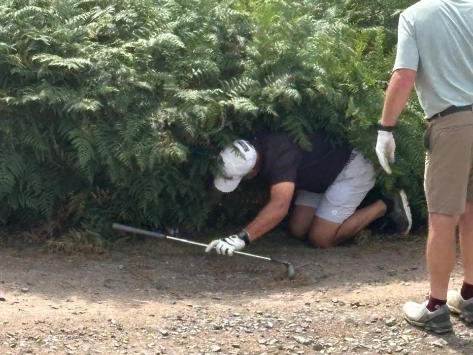 Betsy golf story image